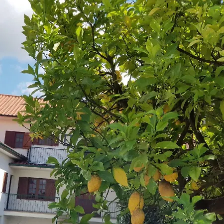 Casa Carlota - *